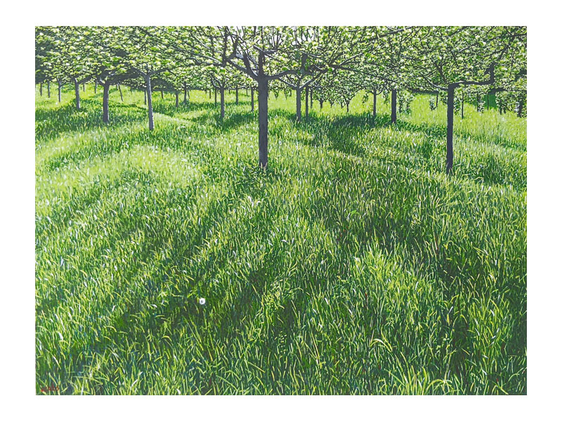 60x80cm